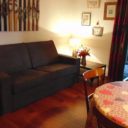 A Avec Parking Et Animaux Admis - Fr-1-517-35 Apartment Chamonix
