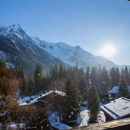 Avec Vue Mont Blanc, Parking Et Animaux Admis - Fr-1-517-35 * Σαμονί