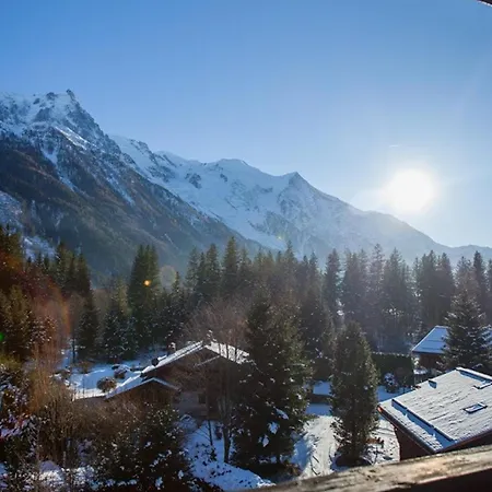 Avec Vue Mont Blanc, Parking Et Animaux Admis
