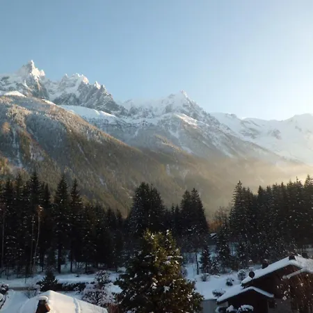 Apartamento Avec Vue Mont Blanc, Parking Et Animaux Admis - Fr-1-517-35 *