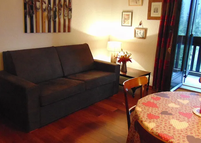 Avec Vue Mont Blanc, Parking Et Animaux Admis - Fr-1-517-35 Apartment Chamonix