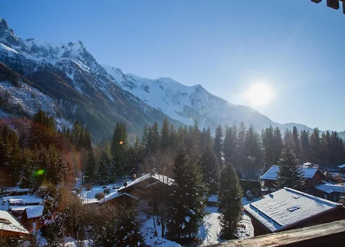 Avec Vue Mont Blanc, Parking Et Animaux Admis - Fr-1-517-35