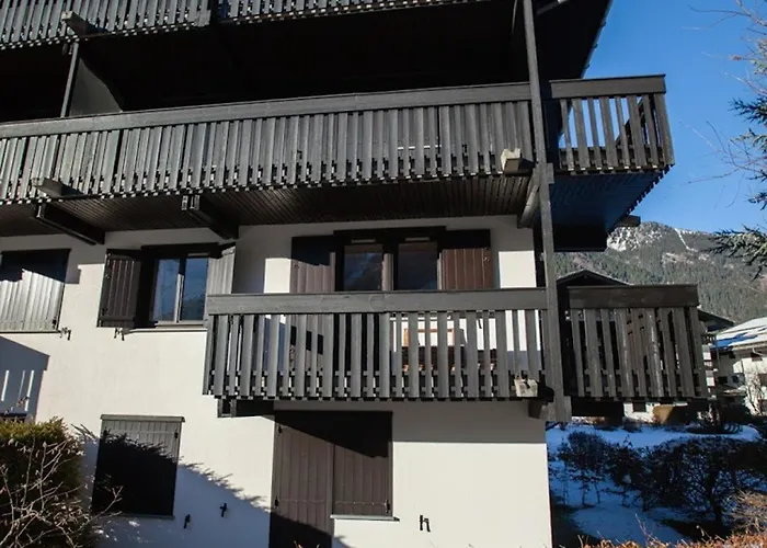 Avec Vue Mont Blanc, Parking Et Animaux Admis - Fr-1-517-35 Apartment