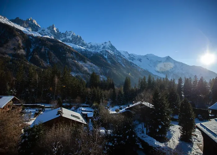 شقة Avec Vue Mont Blanc, Parking Et Animaux Admis - Fr-1-517-35