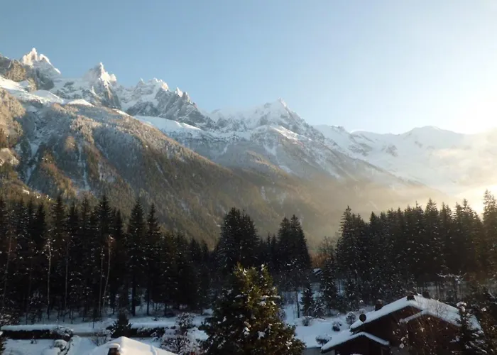 Apartment Avec Vue Mont Blanc, Parking Et Animaux Admis - Fr-1-517-35 *