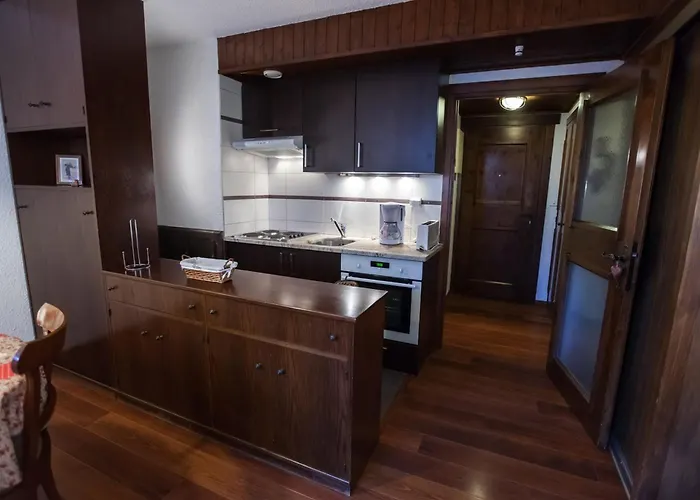 Avec Vue Mont Blanc, Parking Et Animaux Admis - Fr-1-517-35 Apartment *