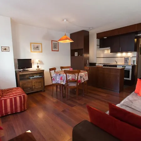 アパート Avec Vue Mont Blanc, Parking Et Animaux Admis - Fr-1-517-35 *